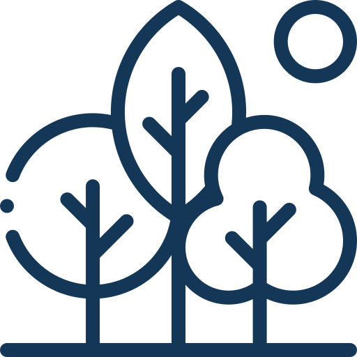 arborizacao